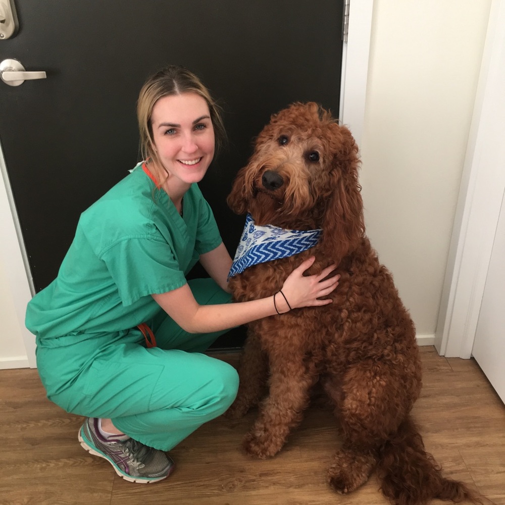 Meet your Posher, Cas